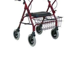 Heavy Duty Walkers