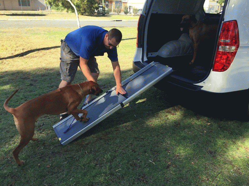 DOG LOADING RAMP 1810MM LONG X 430MM WIDE Redgumbrand